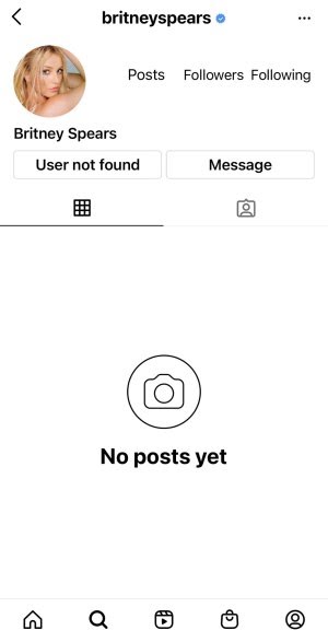 Britney Spears' Instagram Account Has Vanished Yet Again, Meta Says It Wasn'T Them 2
