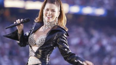 Shania Twain'S Blackouts During Live Performances Were Caused By Lyme Disease 7