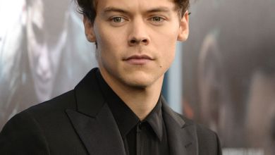 &Quot;Interesting Approach&Quot;- Harry Styles Addresses Chicken Nugget Drama During Performance 9