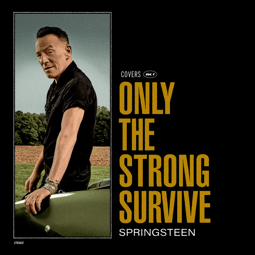Bruce Springsteen &Quot;Only The Strong Survive&Quot; Album Review 2