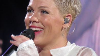 Pink Returns With ‘Trustfall’, Album Drops On 17Th February 3