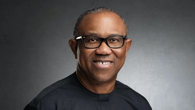 Peter Obi Wow Nigerians In Abuja 9