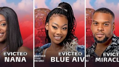 Big Brother Titans: Blue Aiva, Nana, And Miracle Op Exit The House In Latest Eviction 8