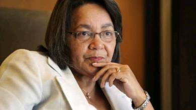Patricia De Lille Reacts To Cyber Crime Allegations 1