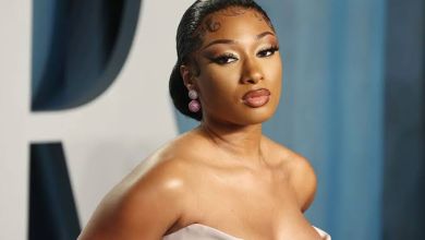 Megan Thee Stallion Was Out-Twerked By A Male Fan, And At The Cmas, Later Linked Up With Shania Twain 1