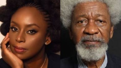 Chimamanda Adichie Responds To Soyinka'S Accusation Of Fascism And Explains Why 5