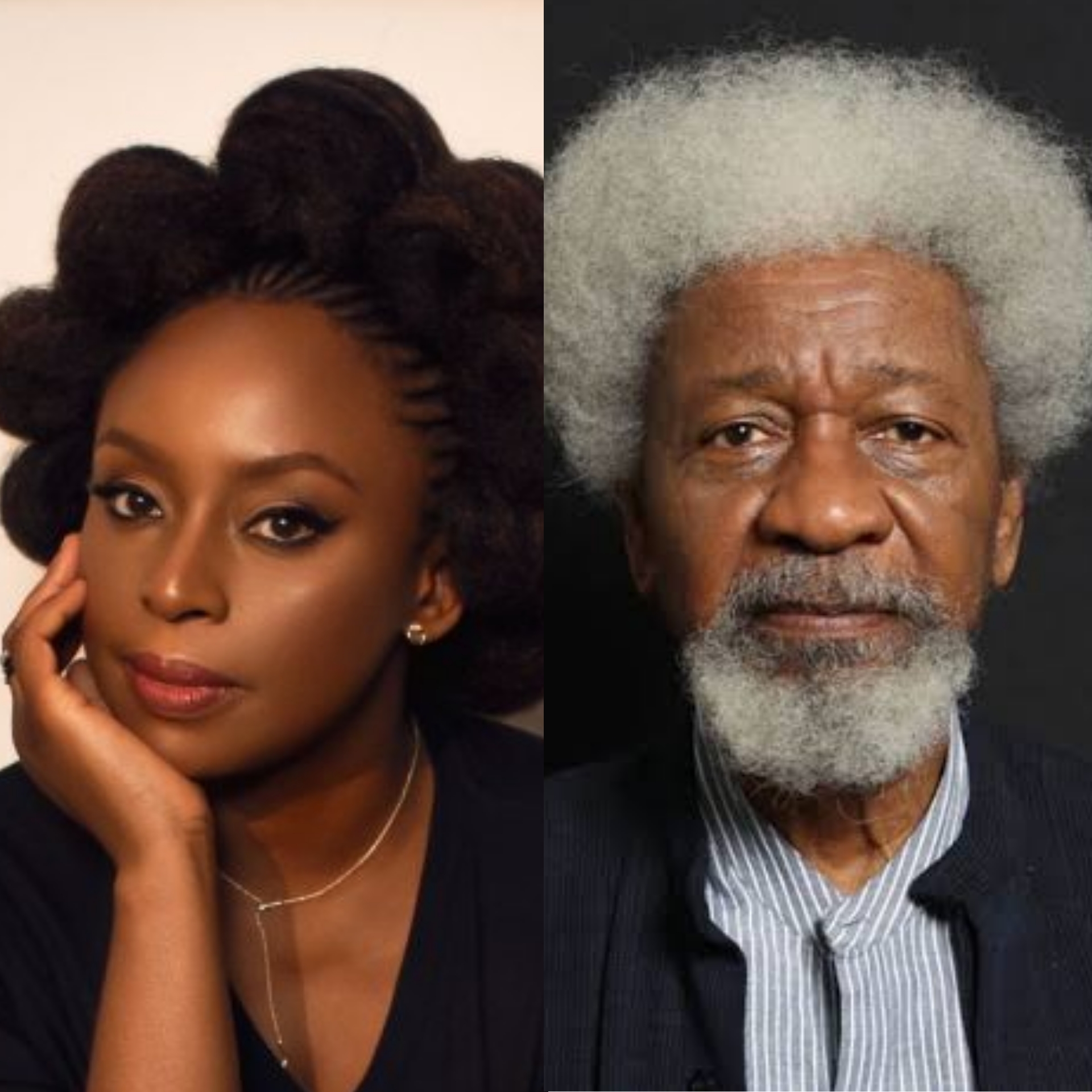 Chimamanda Adichie Responds To Soyinka'S Accusation Of Fascism And Explains Why 1