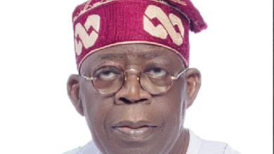Supreme Court Hears Appeals Against President Tinubu'S Victory 4