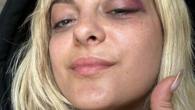 Bebe Rexha'S Concert: A Fan'S 'Funny' Act Turns Into A Serious Safety Concern 4