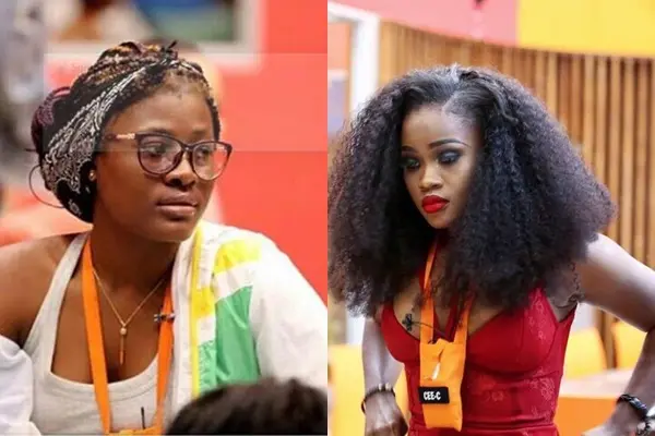 Big Brother Naija All-Stars 2023: Cee-C Reveals She &Quot;Still Doesn'T Like Alex&Quot; To Whitemoney Following Recent Burst-Up 2