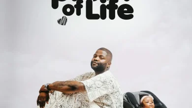 Skales Drops Anticipated &Quot;Proof Of Life&Quot; Ep To Rave Reviews 5