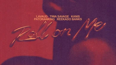 Lavaud Ft. Tiwa Savage, Kanis, Patoranking &Amp; Reekado Banks – Roll On Me 6