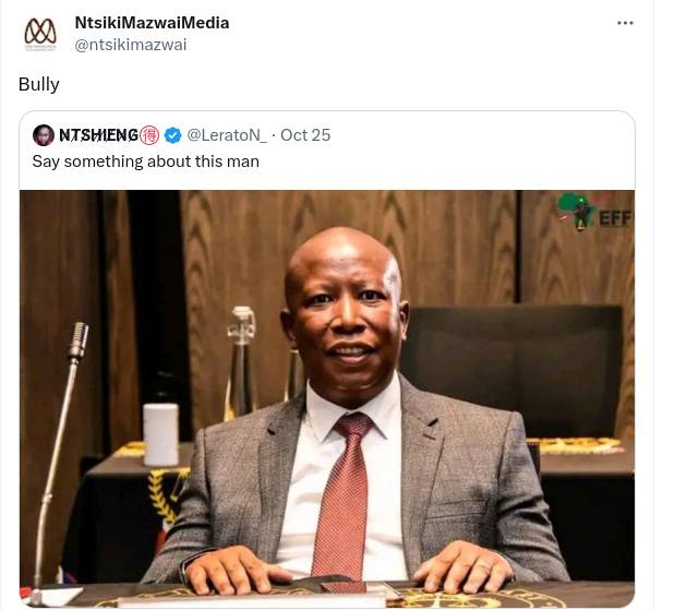 Ntsiki Mazwa Calls Julius Malema A Bully, Responds When Called Out As The Female Version Of The Eff Leader 2