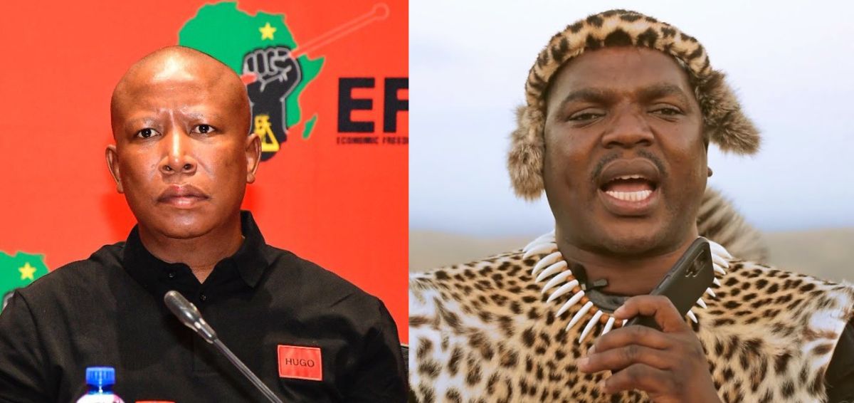 Political Tensions Rise Ngizwe Mchunu S Challenge To Julius Malema And The Eff Ubetoo