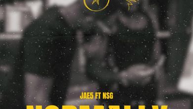 Jae5 - Normally (Feat. Nsg) 1