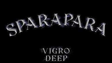 Vigro Deep &Amp; Focalistic - Sparapara (Feat. Ch'Cco &Amp; M.j) 6