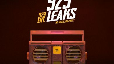Busta 929 - 919 Leaks Album 9