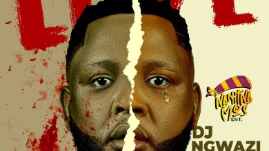 Dj Ngwazi - Fake Love (Feat. Dr Tawanda &Amp; Nelcy-B) 2