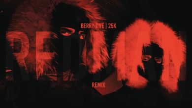 Berry Jive &Amp; 25K - Redman (Remix) 3