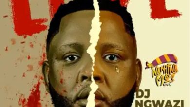 Dj Ngwazi – Fake Love Ft. Dr Tawanda &Amp; Nelcy-B 7