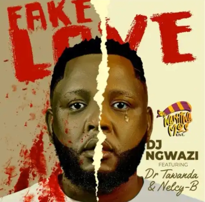 Dj Ngwazi – Fake Love Ft. Dr Tawanda &Amp; Nelcy-B 1