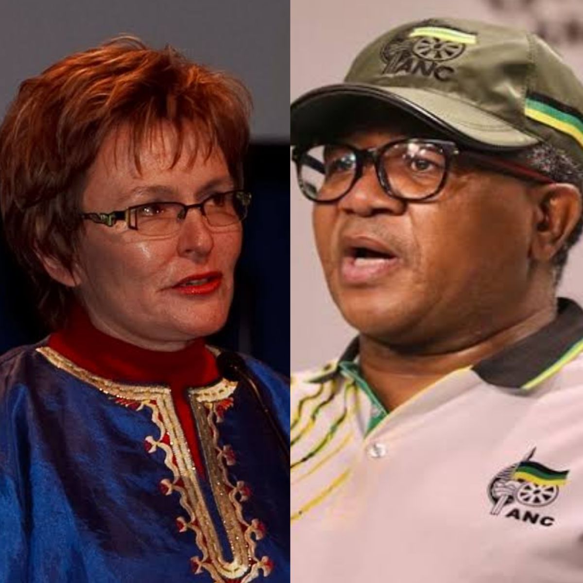 Helen Zille Throws Jab At Fikile, Amusing South Africans 1