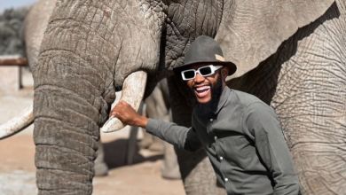 Mohale Motaung Seen Dancing With An Elephant 2